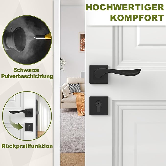 DIYGEEK Türgriffe Innentüren Schwarz,PZ